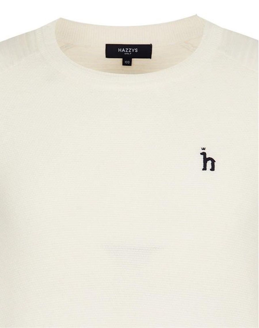 Áo nam Hazzys HUSW9D702IV